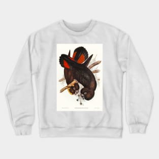 Leach's Cockatoo Crewneck Sweatshirt